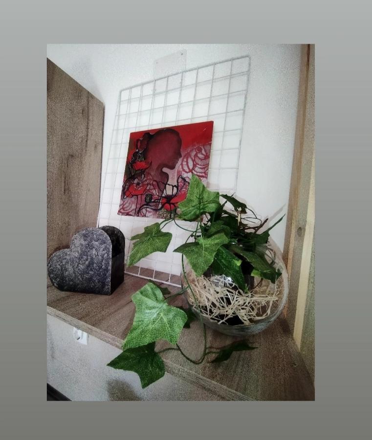 Apartmani S - Dsn Kraljevo Kültér fotó